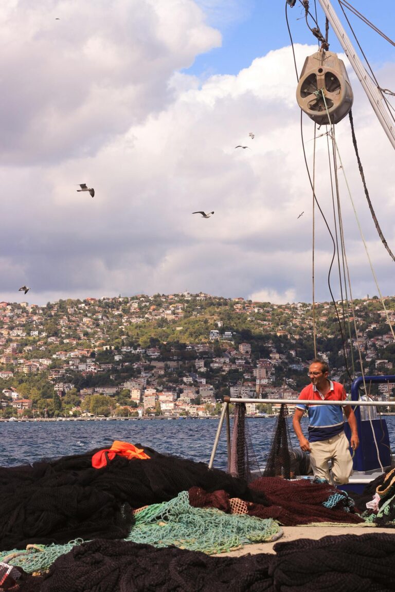 A fisherman working on a deck with nets as seagulls fly over a scenic coastline.